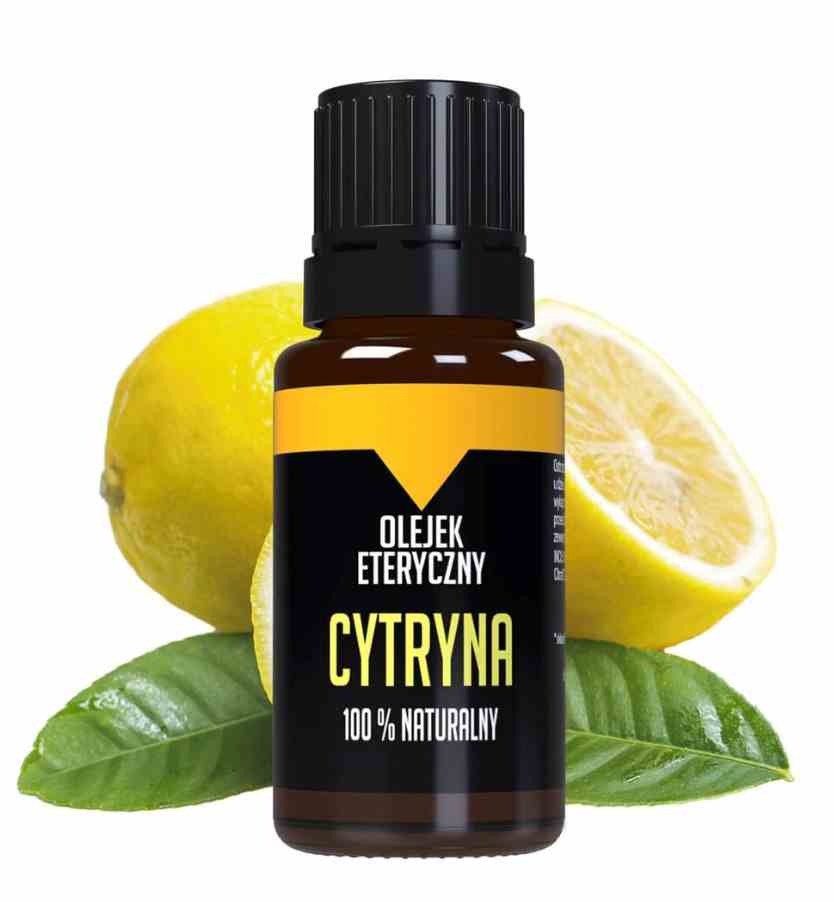 156a496ef65f8c87971e54d77ea839dc