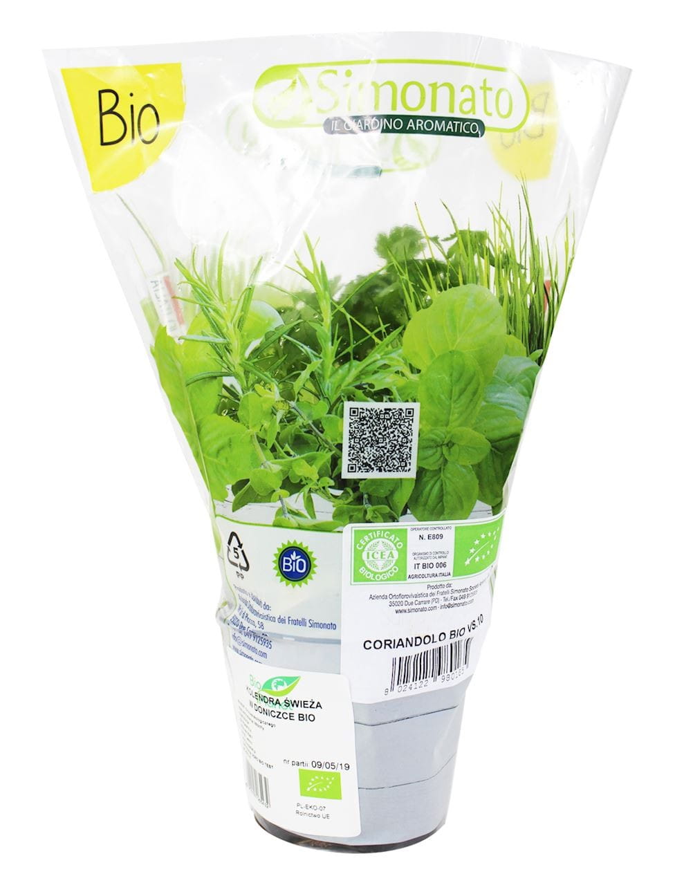 Coriandre fraîche en pot BIO (1 pc.)