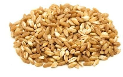 Épeautre (grain) BIO (matière première) (25 kg) 8