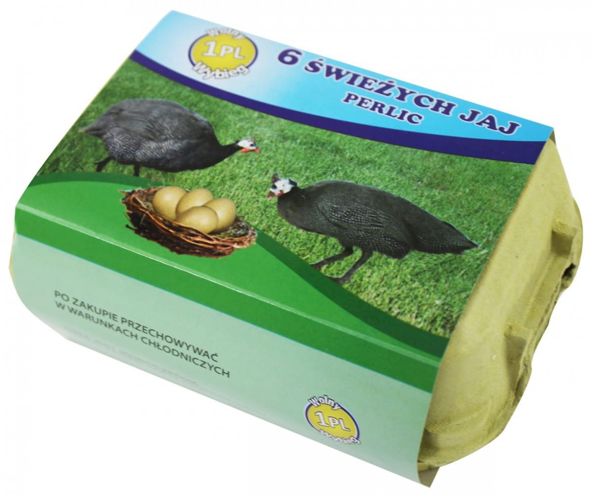 Oeufs de pintade 6 pièces BIO PLANET