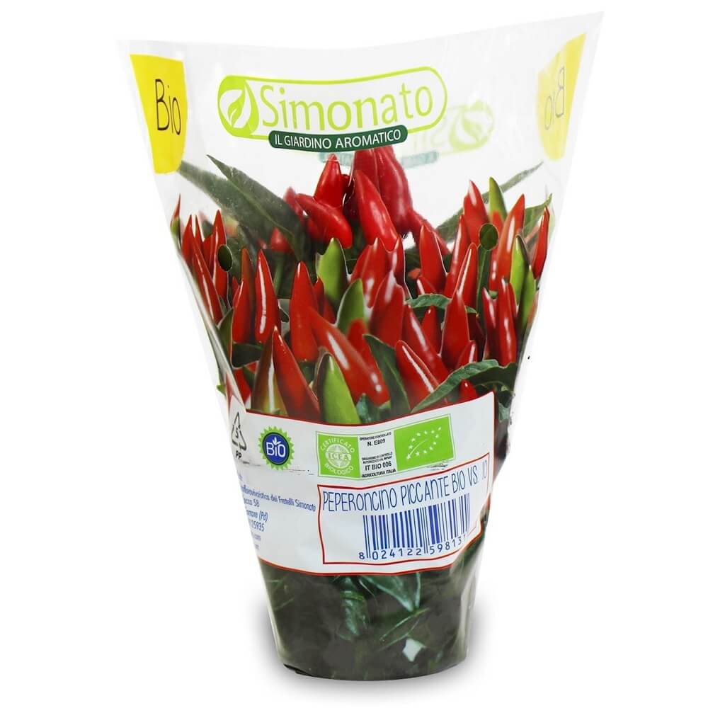 Piment frais en pot BIO (1 pièce)