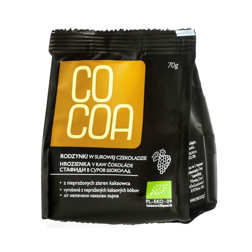 Chocolat cru raisins secs BIO 70 g - CACAO