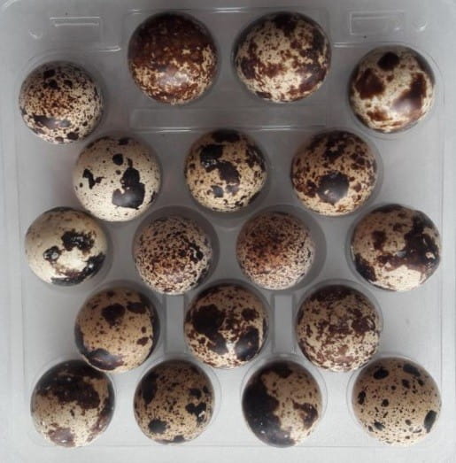 Oeufs de caille 18 pièces EKOWITAL