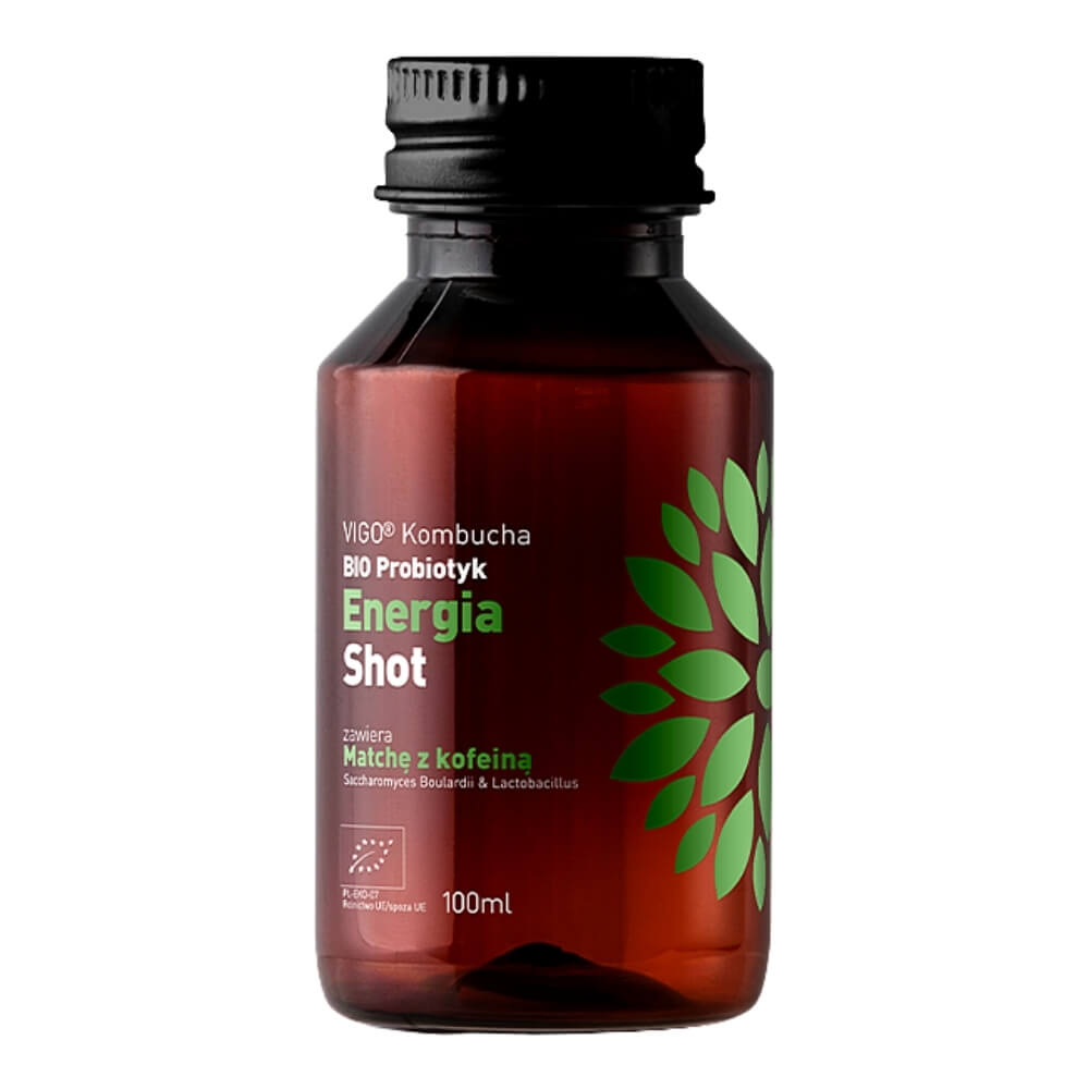 Kombucha BIO Coup d'énergie probiotique 100ml VIGO
