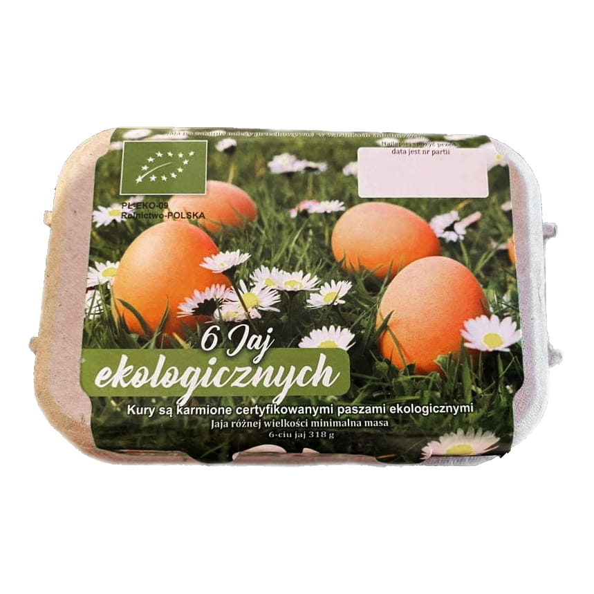 Oeufs "l" 6 pièces ECO - OEUFS BIO