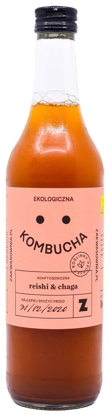 Kombucha au reishi et chaga BIO 500 ml - ACIDITE