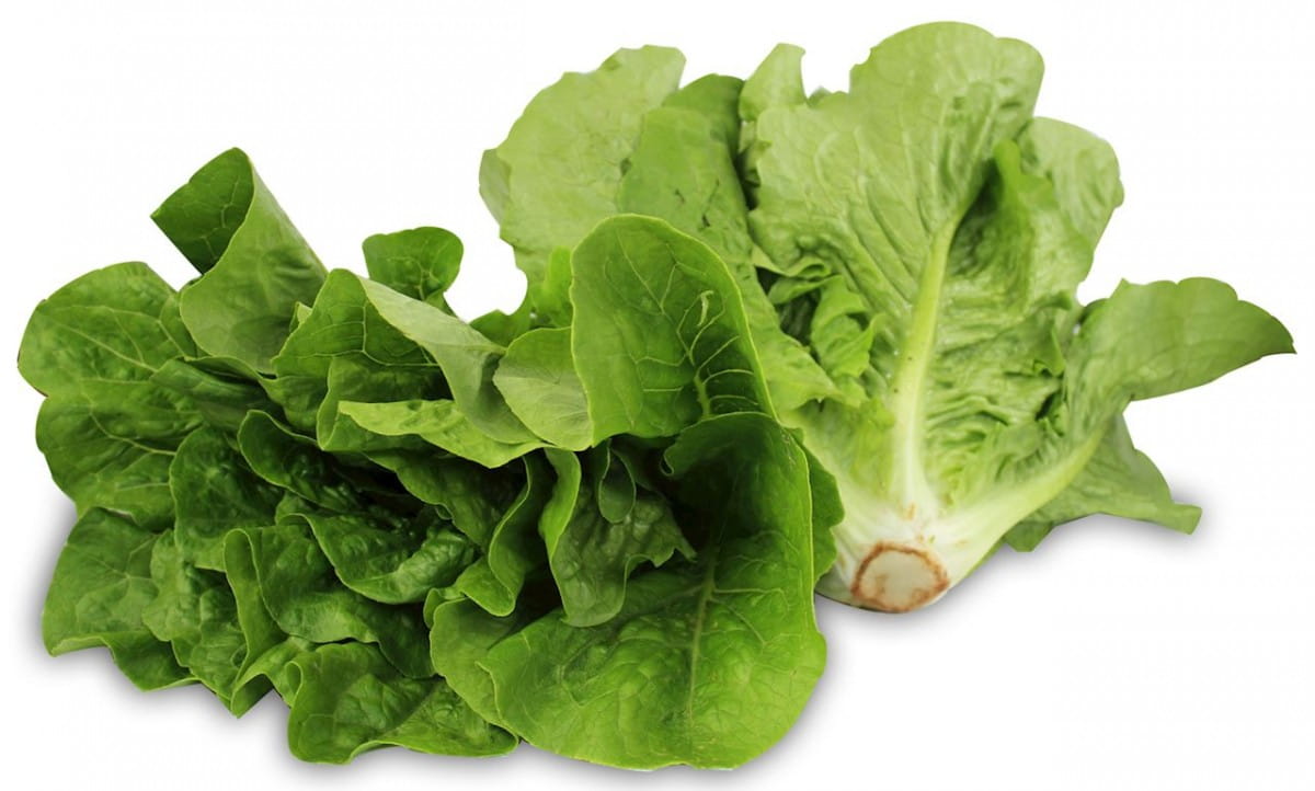 Emballage en vrac (pcs) - mini laitue romaine fraîche BIO (polonais) (environ 8 paquets)