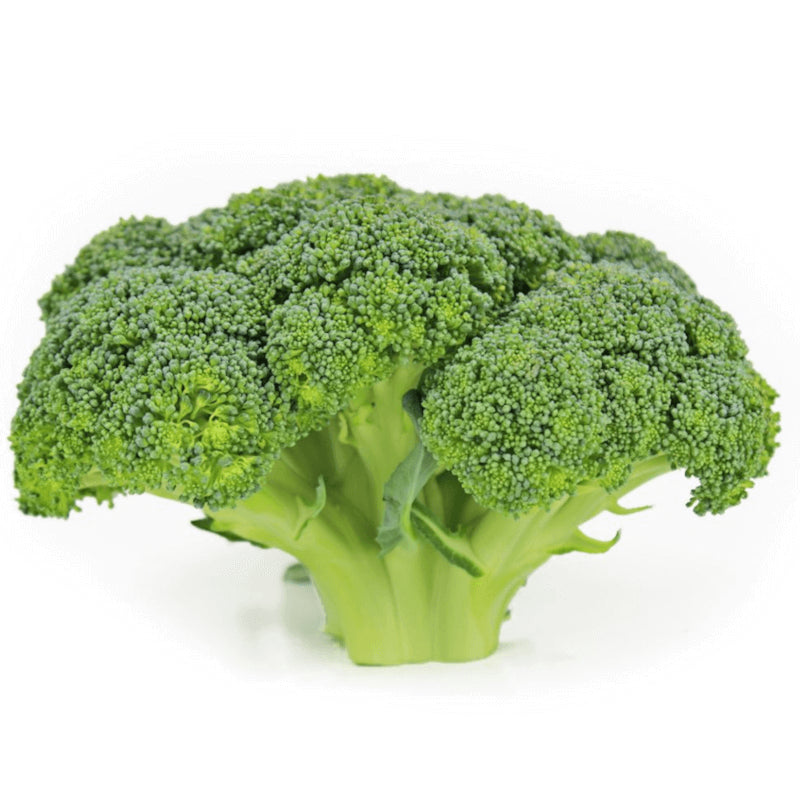 Conditionnement vrac (kg) - Brocoli frais BIO (Polonais) (environ 5 kg)