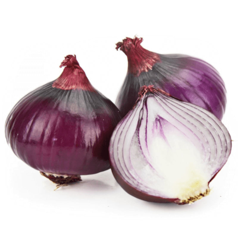 Conditionnement vrac (kg) - oignon rouge frais BIO (environ 10 kg)