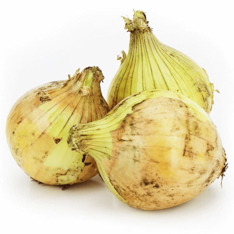 Conditionnement vrac (kg) - Oignon jaune frais BIO (Polonais) (environ 5 kg)