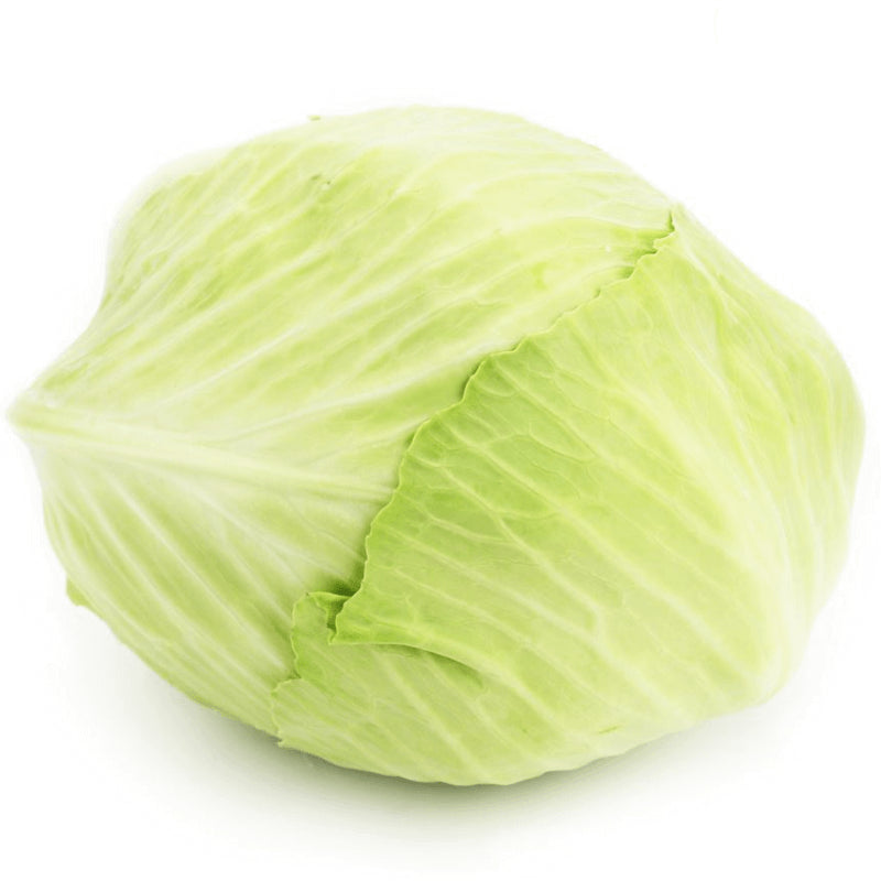 Conditionnement vrac (kg) - jeune chou blanc frais BIO (polonais) (environ 8 kg)