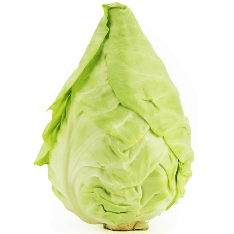 Conditionnement vrac (kg) - chou pointu frais BIO (polonais) (environ 8 kg)