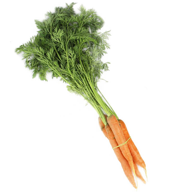 Jeunes carottes au persil frais BIO (Polonais) (environ 300 g)