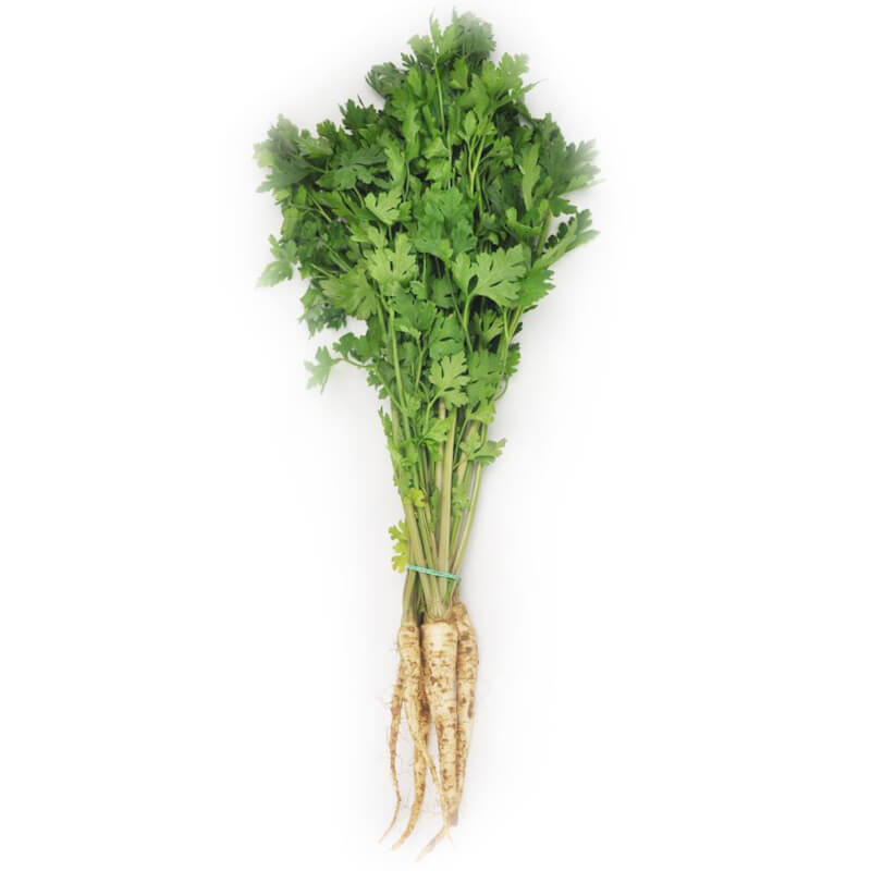 Persil coupé, jeune frais BIO (polonais) (environ 200g)