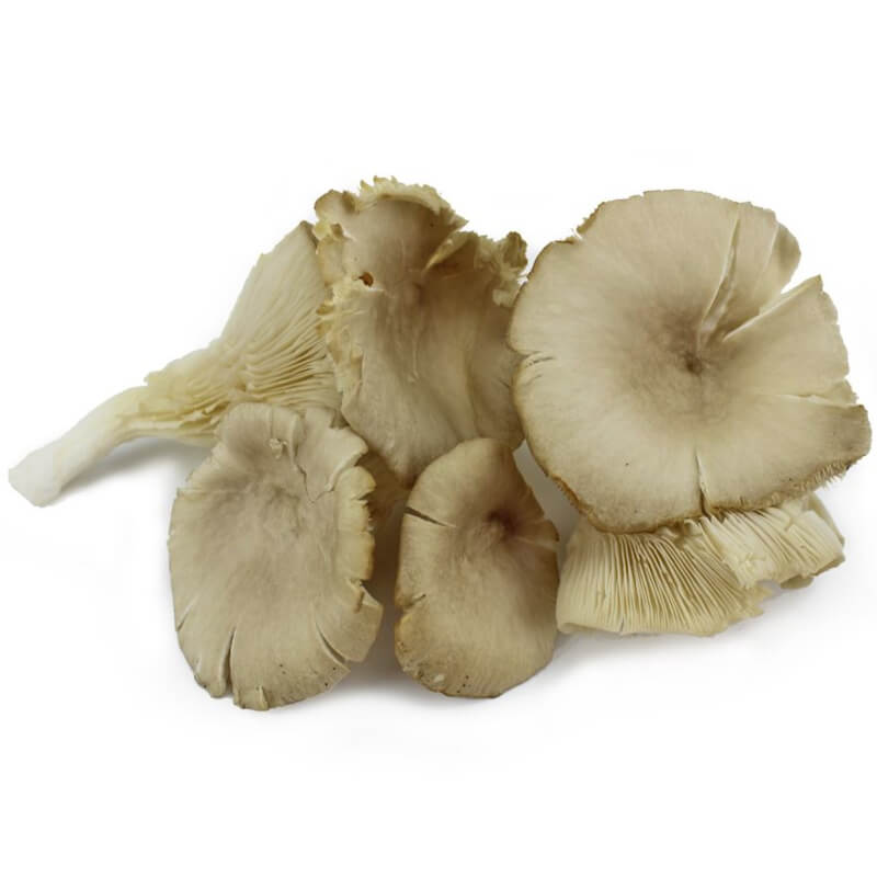 Pleurotes frais BIO (Polonais) (environ 200g)
