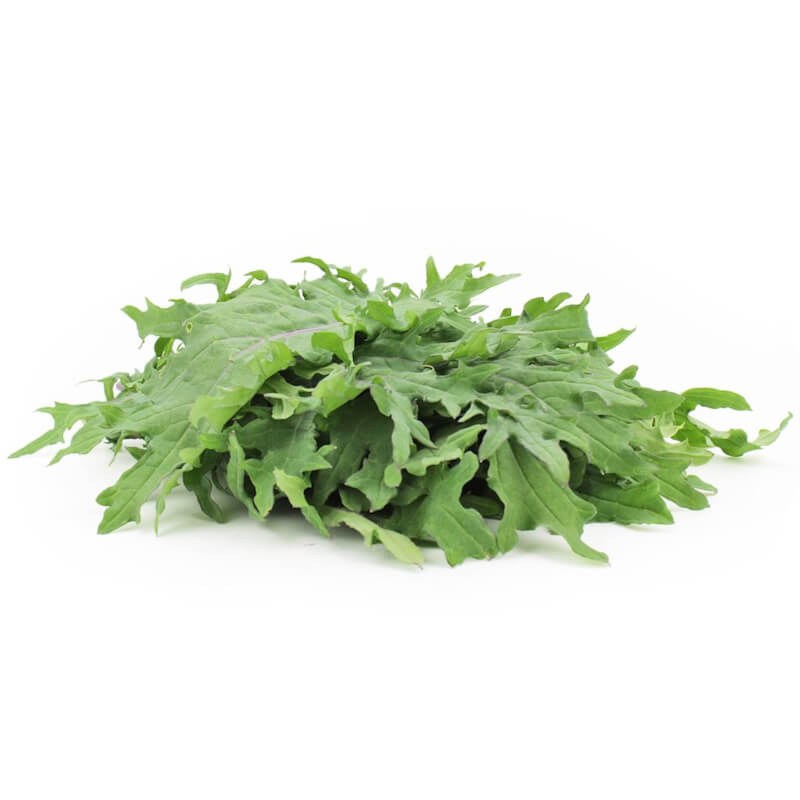 Kale frais BIO (Polonais) (environ 100 g)