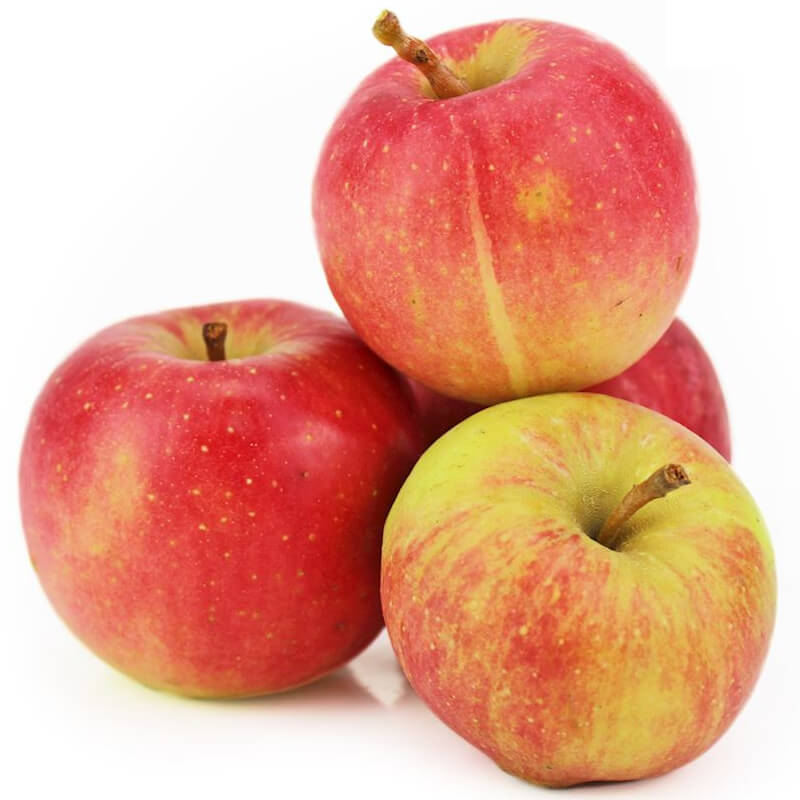 Pommes fraîches pour jus BIO (environ 150 kg)