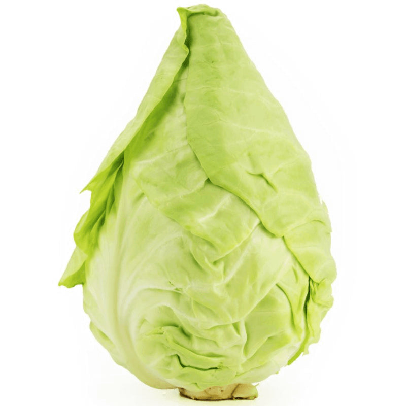 Chou pointu frais BIO (polonais) (environ 700 g)