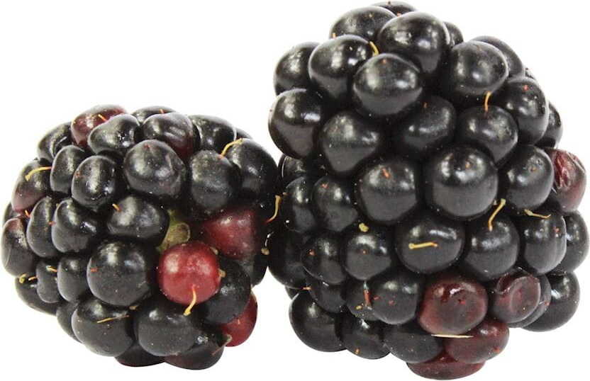 Mûres fraîches BIO (environ 125 g)