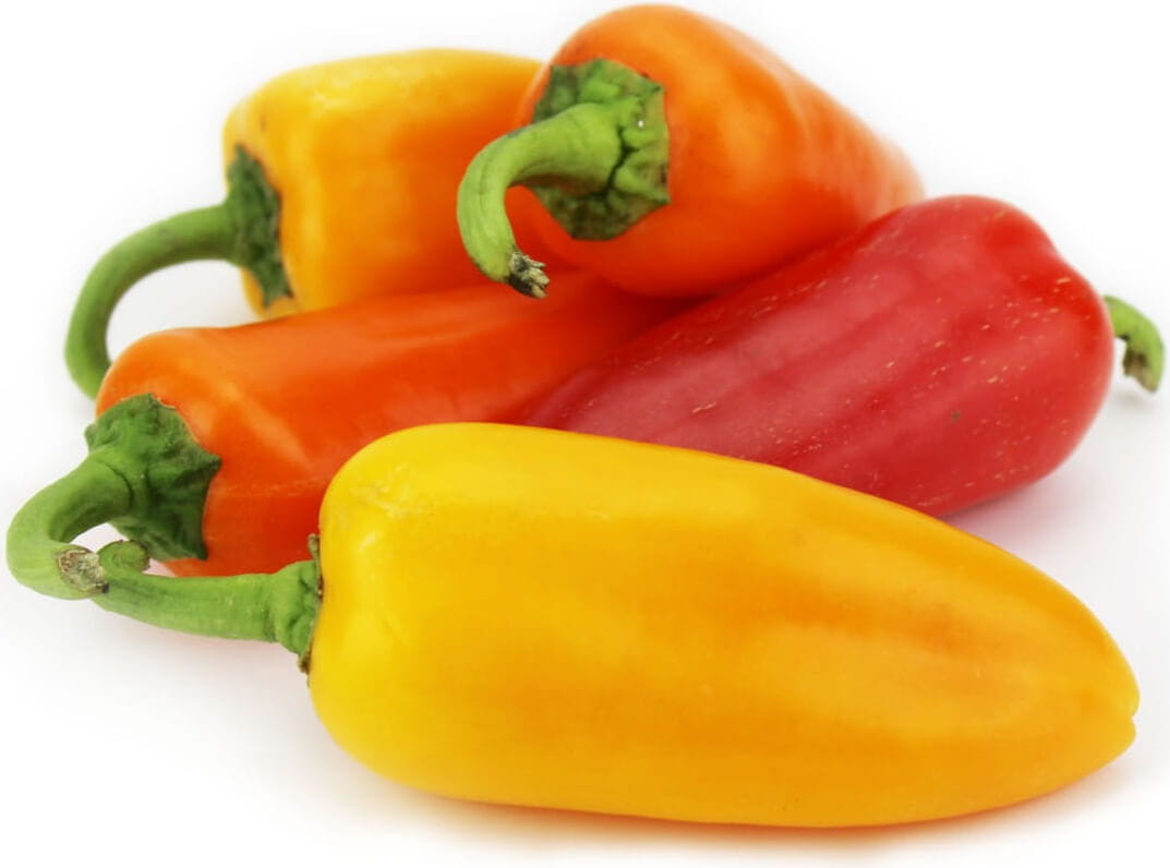 Mélange snack poivre frais BIO (environ 0,50 kg)