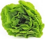 Laitue romaine fraîche BIO (Polonaise) (environ 200g)