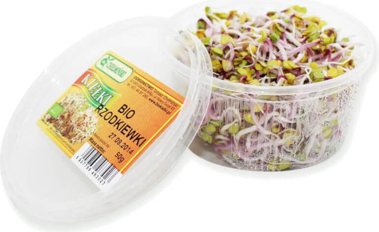 Germes de radis frais BIO (environ 50 g)