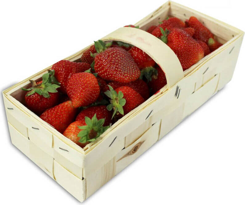 Fraise fraîche BIO (Polonaise) (conditionnement 2,00 kg environ)