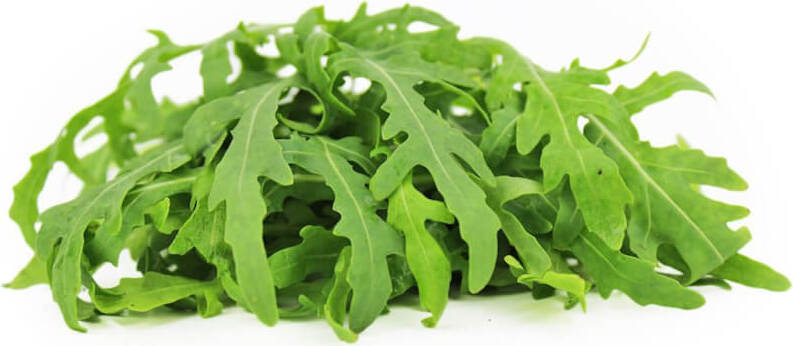 Roquette fraîche, BIO fraîche (polonaise) (environ 100 g)