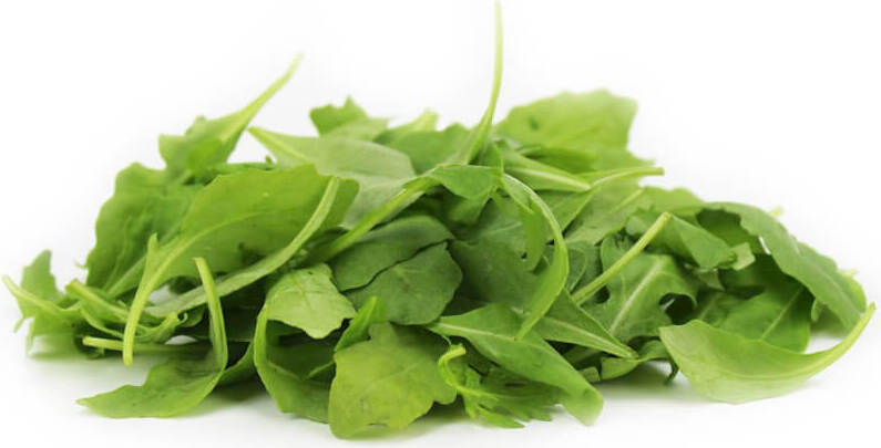 Roquette BIO fraîche non lavée (environ 100g)