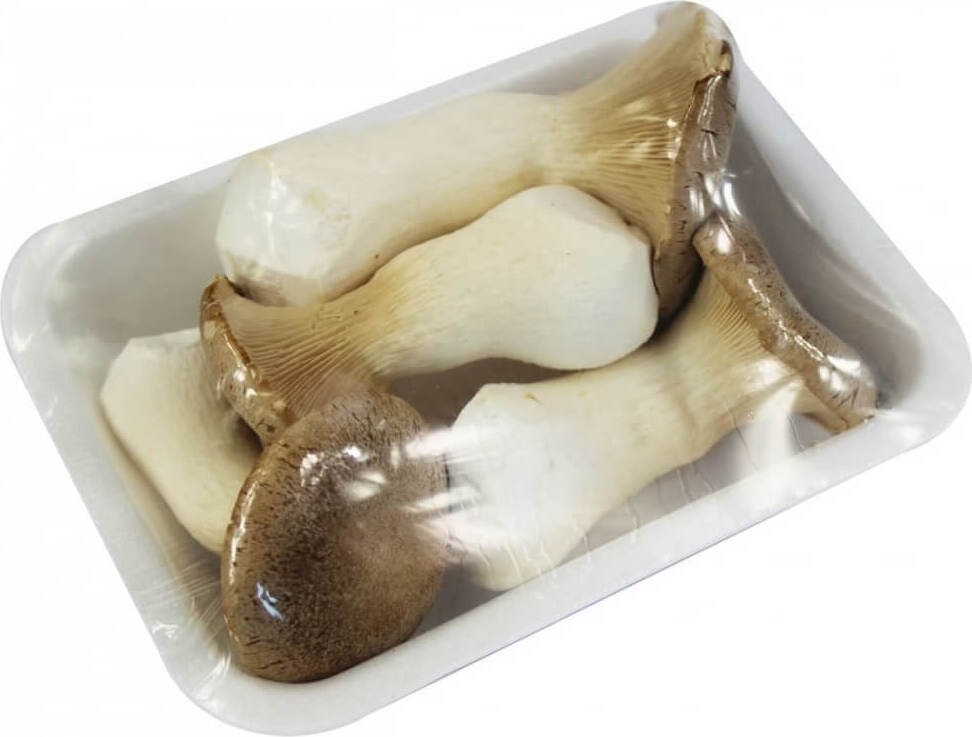 Champignons eryngii frais (Boletus) BIO (Polonais) (environ 200g)