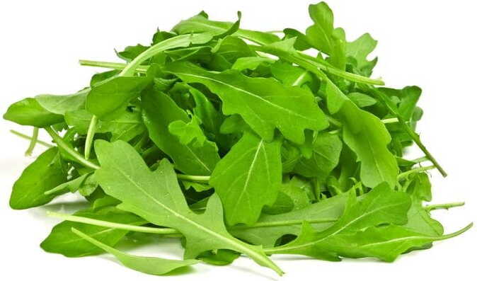 Roquette fraîche BIO (polonaise) (environ 50 g)