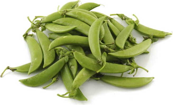 Conditionnement vrac (kg) - Petits pois frais BIO (environ 5 kg)