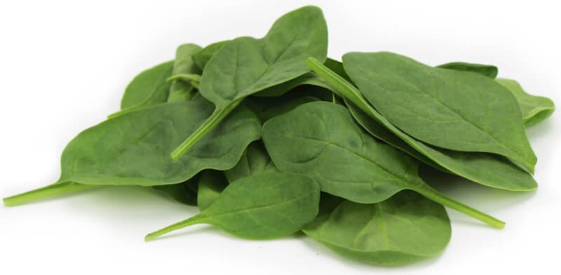 Bébés épinards frais, non lavés BIO (environ 250g)