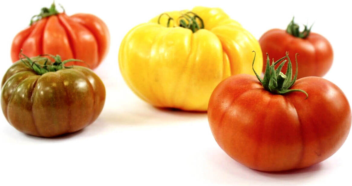 Conditionnement vrac (kg) - Tomates fraîches mix BIO (environ 3 kg)