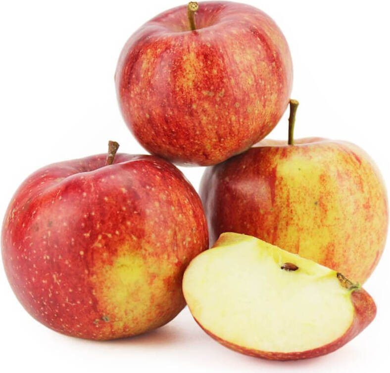 Pommes fraîches BIO (jonagored - Polonais) (environ 1 kg)