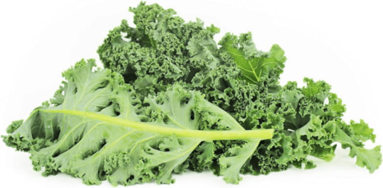 Conditionnement vrac (kg) - chou frisé BIO (polonais) (environ 2 kg)