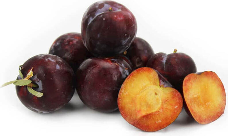 Conditionnement vrac (kg) - prunes rouges fraîches BIO (environ 5 kg)