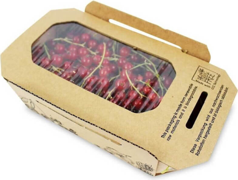 Groseilles rouges fraîches (Polonais) BIO (environ 2 kg)