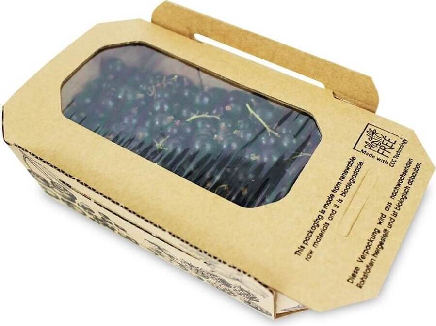 Cassis frais (Polonais) BIO (environ 2 kg)