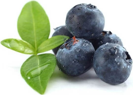 Myrtilles fraîches BIO (environ 125 g)