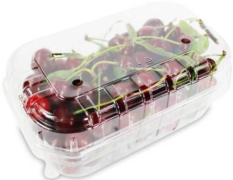 Cerise fraîche BIO (Polonaise) (conditionnement 0,50 kg environ)