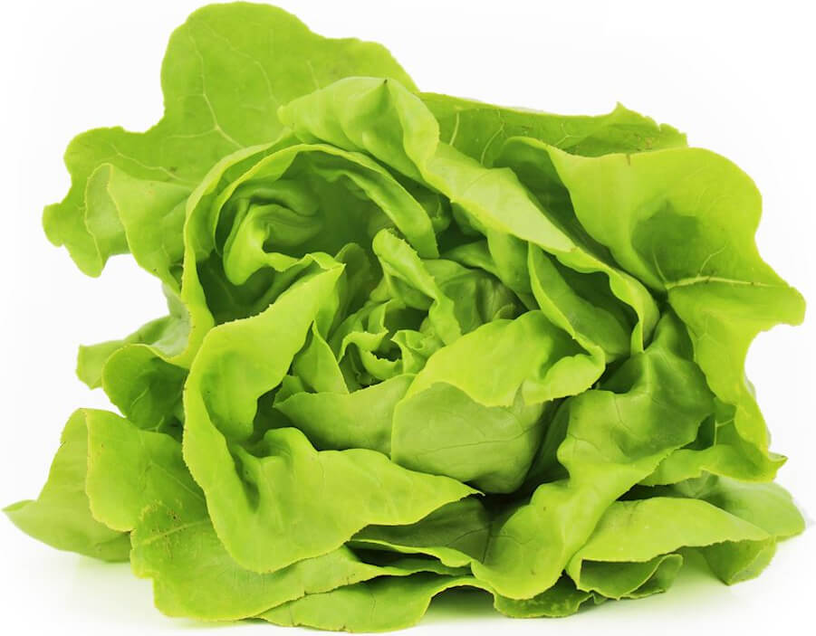 Laitue fraîche BIO (Polonaise) (environ 350g)