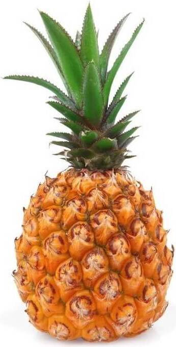 Emballage collectif (pcs.) - ananas frais BIO (environ 9 pcs.)