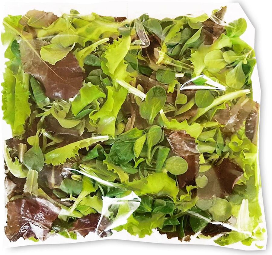 Mélange de laitues BIO fraîches et non lavées (environ 0 250 kg)