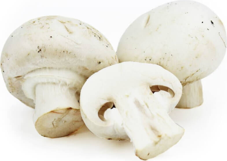 Conditionnement vrac (kg) - Champignons blancs frais BIO (Polonais) (environ 3 kg)