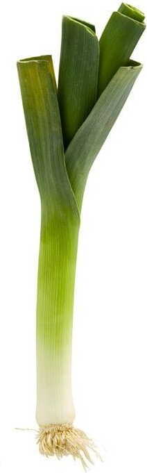 Conditionnement vrac (kg) - poireau frais BIO (environ 10 kg)