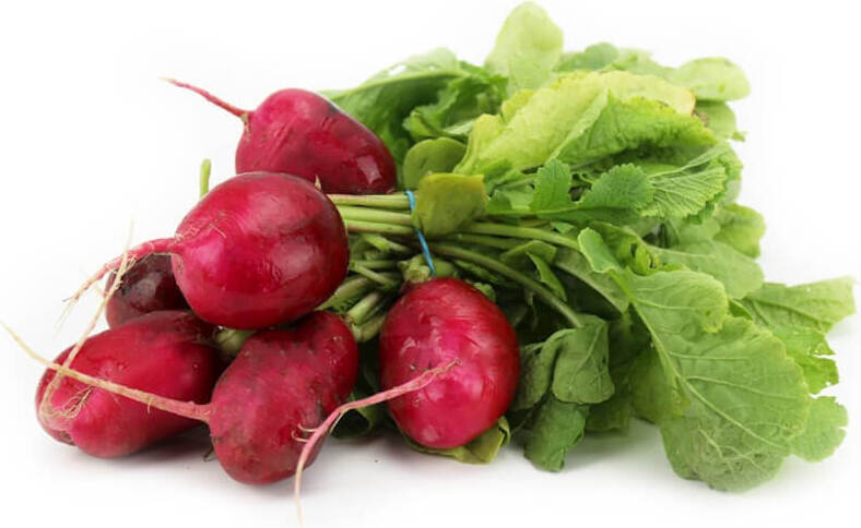 Radis frais BIO (environ 200g)