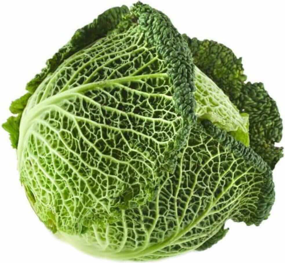 Chou de Milan frais BIO (environ 0,50 kg)