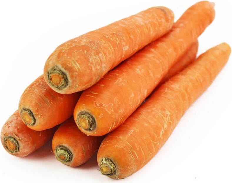 Carottes fraîches pour jus lavé BIO (environ 500 kg)