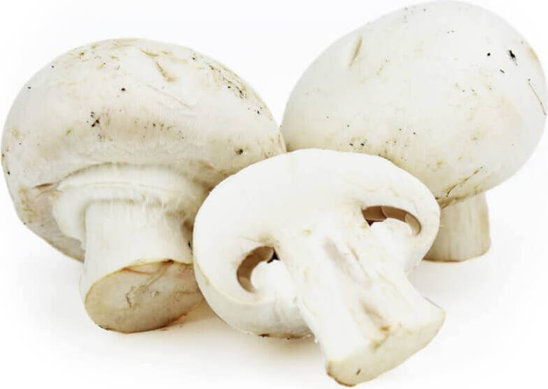 Champignons blancs frais BIO (Polonais) (environ 250g)